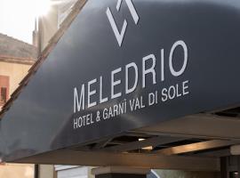 Hotel garni Meledrio，位于迪马罗的旅馆