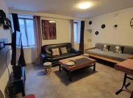 sassenage au pied du Vercor 1 appartement