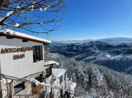 Александрова вила 1