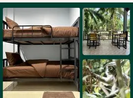 Evergreen Guest House