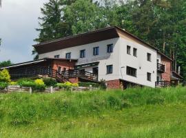 Hotel Styl Hlinsko，位于赫林斯科的酒店