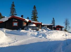 Rustic cabin on Lake Sjusjøen with a lovely view，位于Ringsaker的酒店