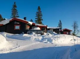 Rustic cabin on Lake Sjusjøen with a lovely view