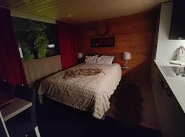 Lapland Aurora cabin，位于罗瓦涅米的乡村别墅