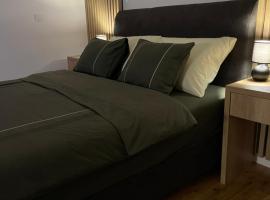 Apartman Aleksandar，位于Temerin的酒店