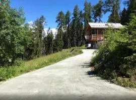 Contemporary Chalet in Mont-Noble with Mountain View.
