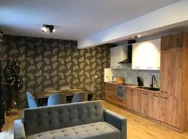 Apartament Brązowy 12/1