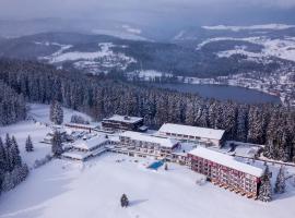 Schwarzwald Wellnesshotel SAIGERHÖH I Spa Golf & Wandern über dem Titisee，位于伦茨基希的酒店