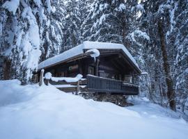 Kitzkopf Hütte，位于迈尔霍芬的木屋