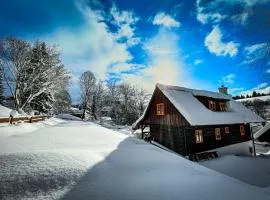 Traditional deer Cabin with Sauna - Chata Srňacie