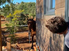 Tiny House Horses Hbergement Atypique Loul