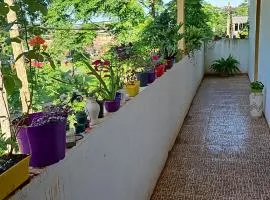 Hotel Los Chow Chow