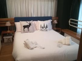 Casa Shabby - Comfortable family apartment near the slopes - Confortevole appartamento per famiglie vicino alle piste，位于马里尔伊瓦的酒店