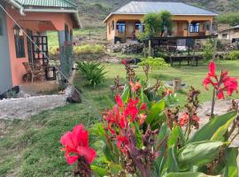 Lake Natron Maasai Guesthouse，位于Mtowabaga盖伦火山附近的酒店