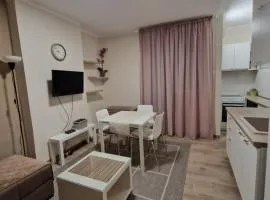 Apartman Dixy