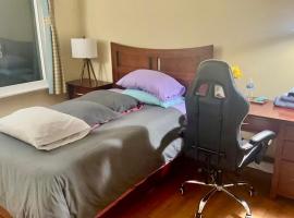 B2 A private room in Naperville downtown with desk and Wi-Fi near everything，位于内珀维尔的民宿