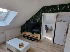 Cosy appartement proche Disneyland