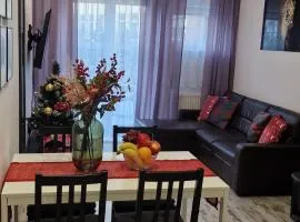 Apartament Leopard