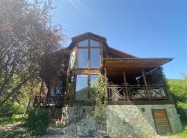 ❆cozy, 4 BR. Villa in Ananuri❆，位于Ananuri的酒店