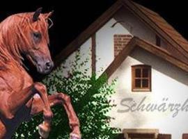 施瓦兹霍夫兰德酒店，位于库姆巴赫的酒店