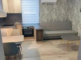 Laivų gatvės apartamentai