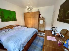 Convini Bed & Bathroom Homestay，位于普里什蒂纳的度假短租房