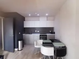 1 Bed Apartment in Cardiff Bay -Dixie Buildings