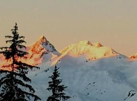 Bourg Saint Maurice Les Arcs - maisonnette grand confort dans charmant village de montagne !，位于圣莫里斯堡的酒店