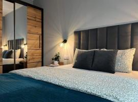 Parkcity Centrum Nova Mikołowska，位于卡托维兹的酒店