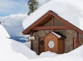 Snowy Bear Chalet w/ Hot Tub，位于大白山的乡村别墅