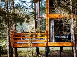 Wood Land Liswarta domki w drzewach，位于Popów的酒店