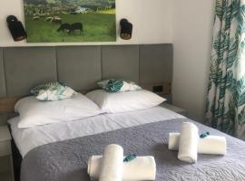 Wiślańskie Doliny，位于维斯瓦的酒店