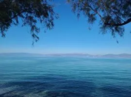 An Oasis By The Beach