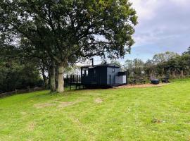 Stunning 1-Bed Luxury Lodge on Teign River，位于牛顿阿伯特的酒店
