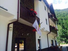 Hotel Popasul Regelui Transalpina，位于陶比斯特拉的滑雪度假村