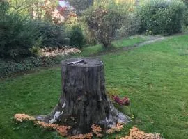 Idyllische Wohnung mitten in der Natur „ Haus Magnolia „