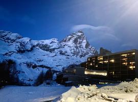 Ski paradise - Cielo alto Cervinia，位于布勒伊-切尔维尼亚的公寓