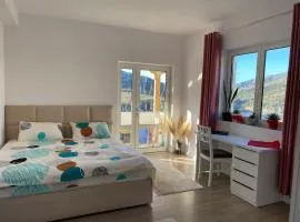 Großes und schönes Zimmer mit Balkon