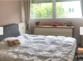Chambre à louer dans un panthause