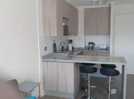 Departamento Pucon Condominio Alicura