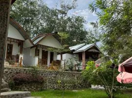 Asim Paris Guesthouse & jungle trekking