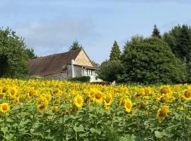Bonnes Routes - 4 star gite in the Perigord Vert
