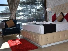 Hotel Wonder Hill inn shimla，位于西姆拉的酒店
