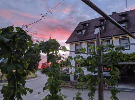 Brauereigasthof Adler，位于Oberstadion的酒店