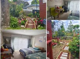 Private Large double room