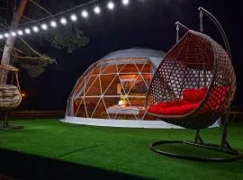 Daxvalley Glamping