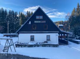 PENZION U ŠTEFANA，位于奥斯特鲁兹纳的酒店