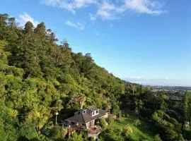 Fantail Hill