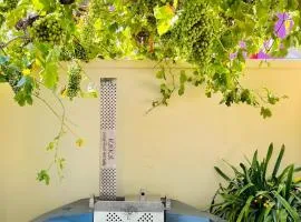 Bo-Kaap hidden gem with Hot Tub