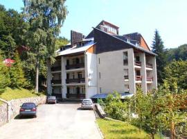 Medical and Health Center Polonina，位于卢姆绍里的酒店